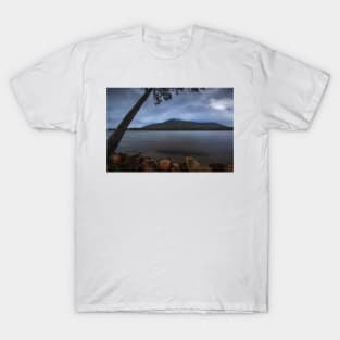 Beneath The Branches T-Shirt